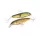 YO-ZURI SASHIMI JOINTED SW FLOATING  100mm - cod de culoare CMBK Vobler