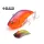 Raid Level Vib B.I.G 6,3cm 17gr 016 Clown Wobbler