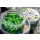 Sonubaits Bandum Wafter Verde Marin 8mm Wafter 40gr