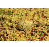 Speciál Mix 2,5mm Pelete Method Crap Krill 500gr