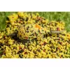 Speciál Mix 2,5mm Pelete de Crap Method Mai 500gr