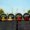 Stég Dipped Boilie 20mm Boilies de Momeală Căpșuni-Halibut 100gr