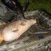 Nash Carp Care Air Camo Saltea de Crap