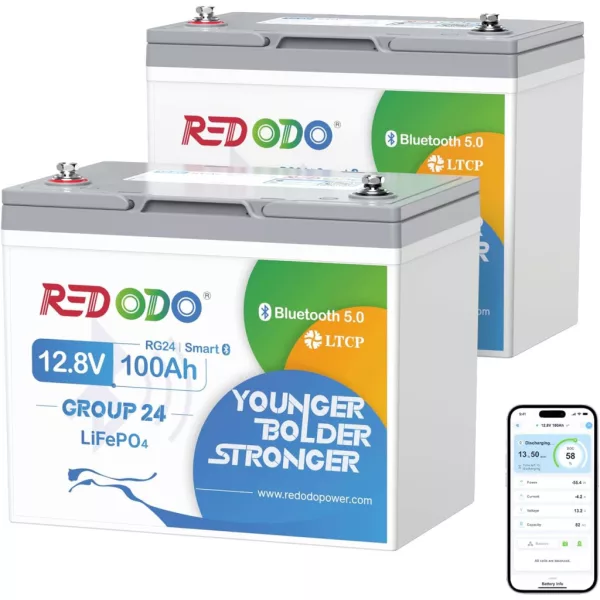 Redodo LiFePO4 12V 100Ah 1,28kWh Group24 BlueTooth Acumulator