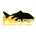 K-karp